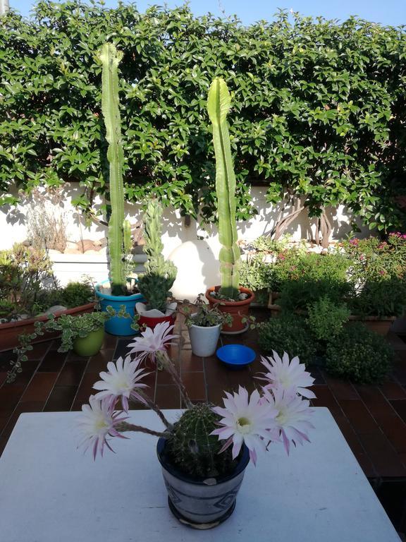 B&B Casanova Βερόνα Εξωτερικό φωτογραφία